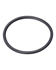 O-Ring GIACOMINI  ; R145XC, 3/4"